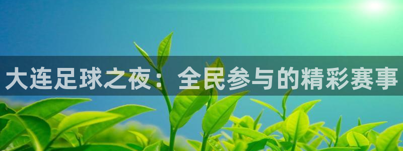 大连足球之夜：全民参与的精彩赛事
