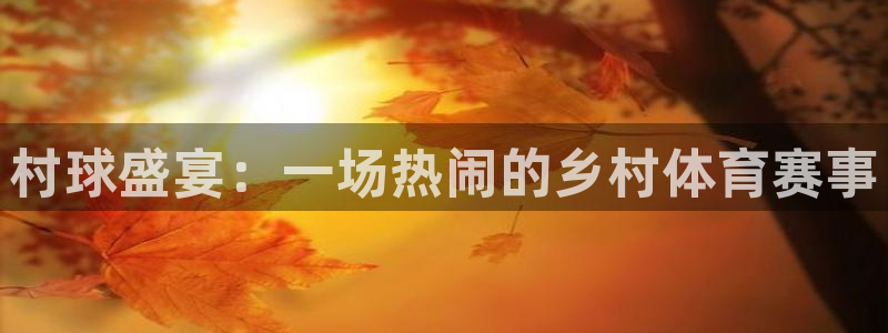 村球盛宴：一场热闹的乡村体育赛事