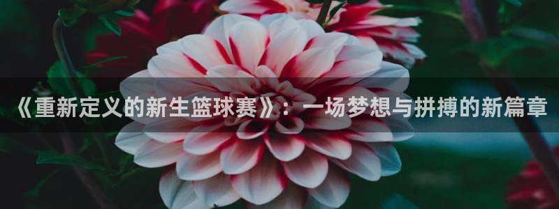 《重新定义的新生篮球赛》：一场梦想与拼搏的新篇章