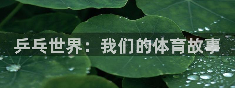 乒乓世界：我们的体育故事