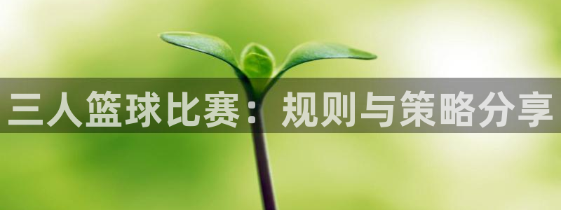 三人篮球比赛：规则与策略分享