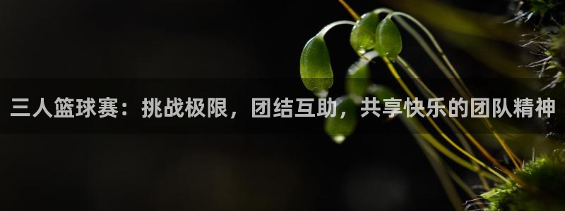 好博体育是正规的吗安全吗是真的吗：三人篮球赛：挑战极限，团结