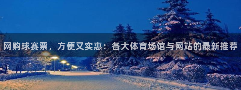 好博体育最新官网0619.是什么意思.中国：网购球赛票，方便