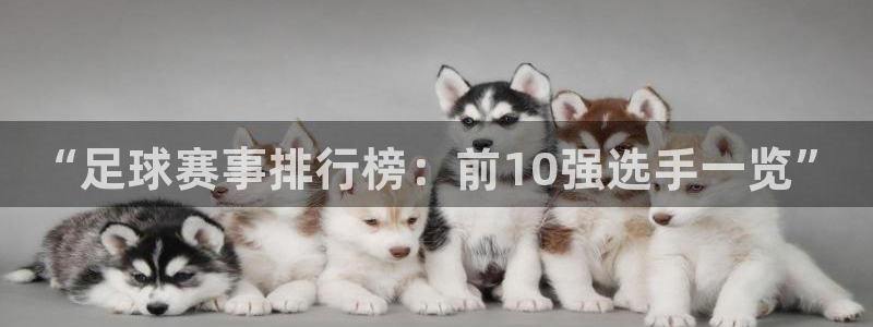 好博体育平台入口：“足球赛事排行榜：前10强选手一览”