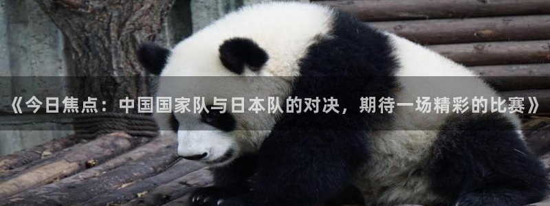 好博体育登录不进去怎么办：《今日焦点：中国国家队与日本队的对